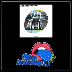 The Deepshakerz - Turn It Up (Original Mix)