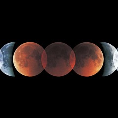 Dancing In The Shadow 2020 - Sister Sun