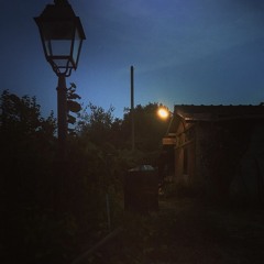 Mental Music for mental people (with the Great Mr Spoon)