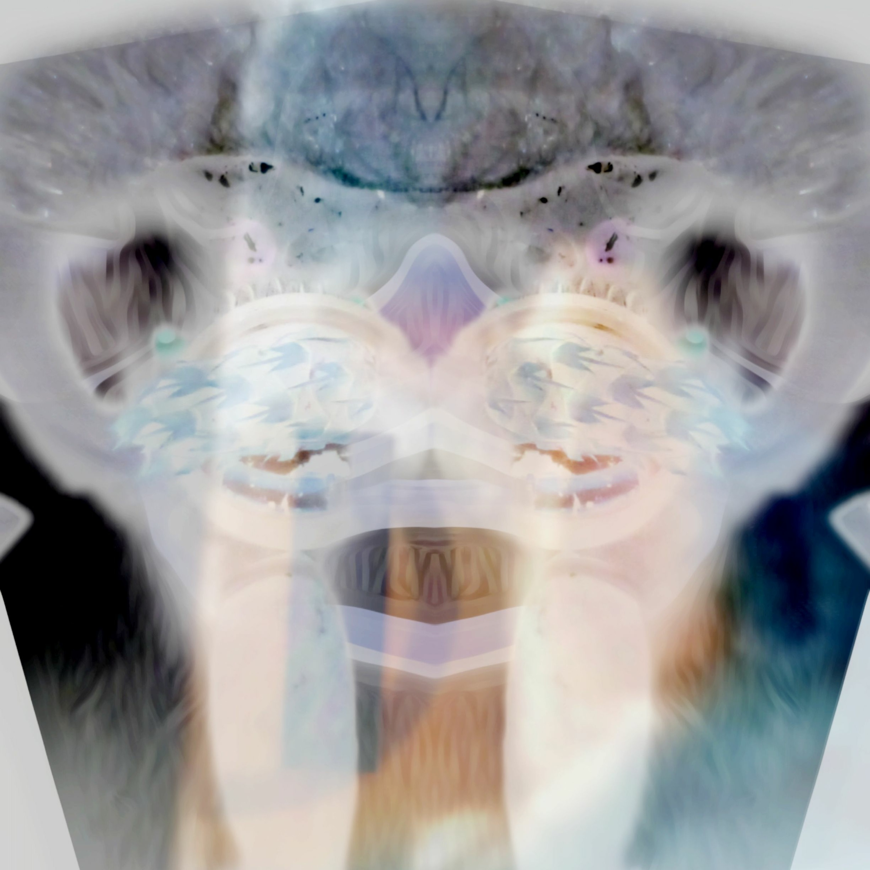MOORQIIZ MADWOLF
