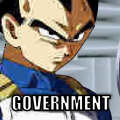 NOT A BIG FAN OF THE GOVERNMENT (ft. piccolo)