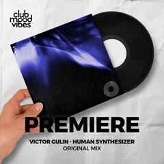 PREMIERE: Victor Gulin ─ Human Synthesizer (Original Mix) [Prototype]