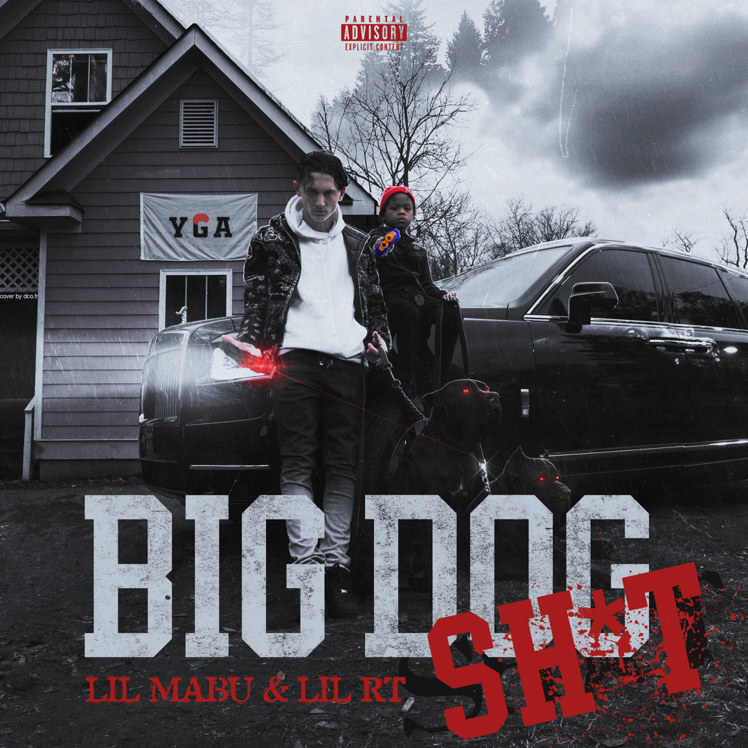 【G-RAP】THE BIG DOG CD The Big Dog (C&C Records) in Detroit | Rap - The Good Ol'Dayz