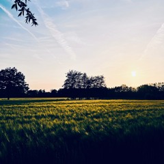 Spring walk cocktail beats - Everywhere