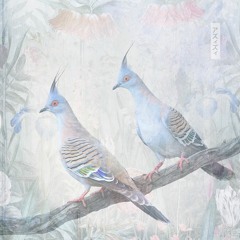 Azizy | パストラル