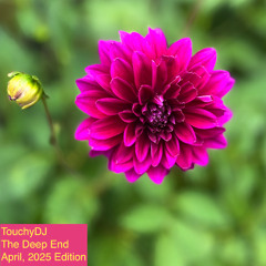 The Deep End, April 2025