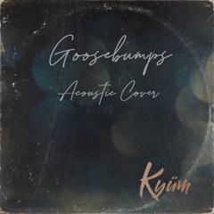 Goosebumps Travis Scott - Acoustic Cover