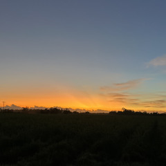 Luvem Yu🤙🎶.mp3