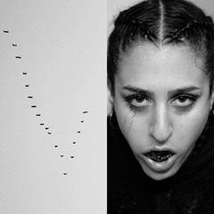 High Like a Jet (habib1 Remix)