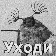 саша шматко feat. мэри по (prod. DJ CHROME TONE) - майский жук