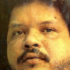 que beleza i guess (tim maia remix)