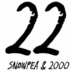 22  Feat2000 (Prod.P4ra X Noria)