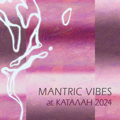 Mantric Vibes, SolidState 2 Live at КАТАЛАН 2024