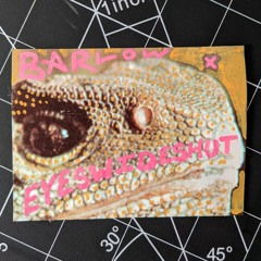eyeswideshut - headroll (barlow flip)