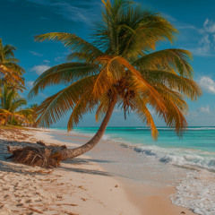 Café del Playa