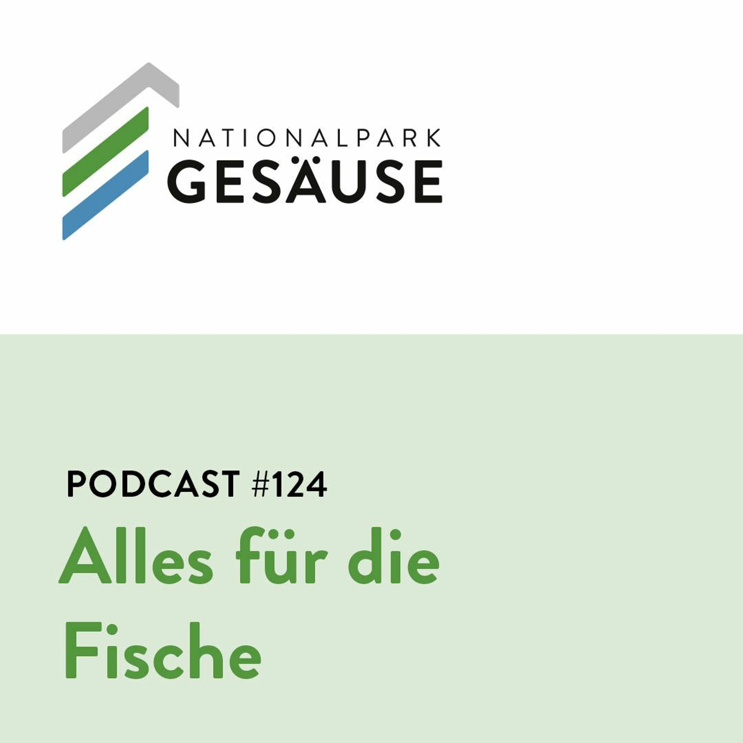 Podcast #124 - Alles für die Fische episode artwork