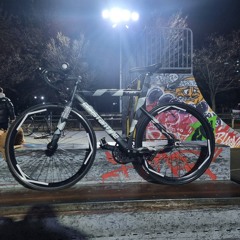 胜利之舞(BOL4-YOU 중국틱톡리믹스)