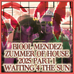 DJ BIOOL - ZUMMER OF HOUSE 2025 part 1