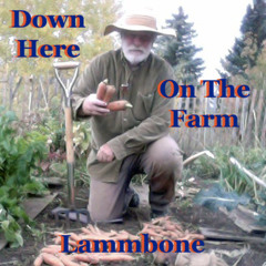 Down Here On The Farm