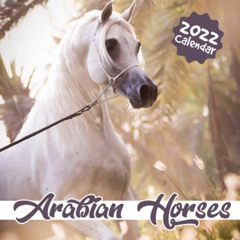 Get EBOOK ✔️ Arabian Horse Calendar 2022: January 2022 - December 2022 OFFICIAL Squar