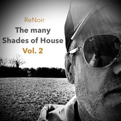 RePlay #005 - The many Shades of House Vol. 2