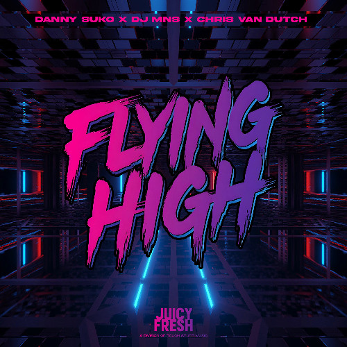 Danny Suko x DJ MNS x Chris Van Dutch - Flying High (Edit)
