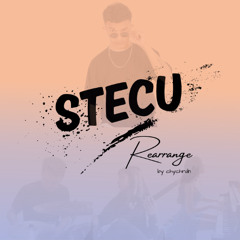 Stecu Rearrangement