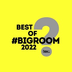 Best of BigRoom 2022 - Special Episode
