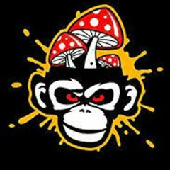 Wrong Dimension - Into the Madness 2