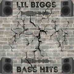 LIL Biggs  Bass Hits Ft N8F