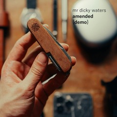 Amended {demo}
