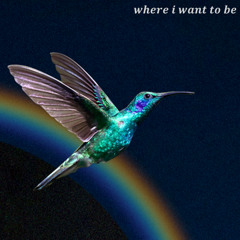 𝒘𝒉𝒆𝒓𝒆 𝒊 𝒘𝒂𝒏𝒕 𝒕𝒐 𝒃𝒆 (skylife) remix