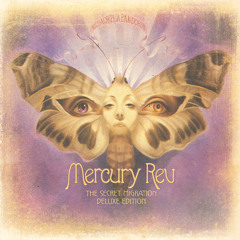 Mercury Rev Favorites