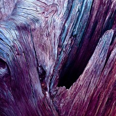 OPAL #2 Mille et une