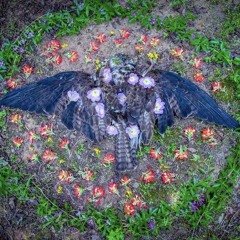 expiry date - doomsday (prod.goddamstyx)