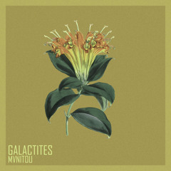 Galactites