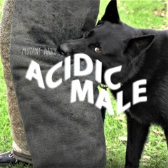 Acidic Male [30.10.2020]