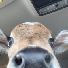 I know you're sad right now