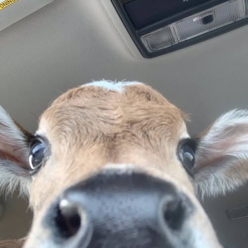 I know you're sad right now