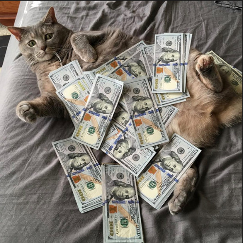 vee4r & kets4eki - SPEND IT ALL (Lyretrix) [original version]