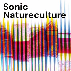 Sonic Natureculture - Klang Moor Schopfe x Norient