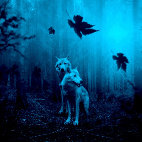 Colors [Prod. YungMexicanBih]