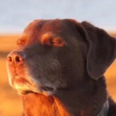 how it feels when yo bih boutta leave and theres nun u can do abt it but ur lowk chill w it