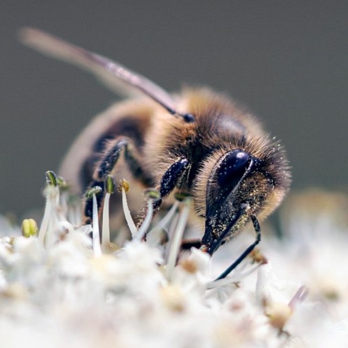 Uplifting Trance Vol 3.WAV