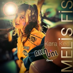 MELİS FİS - Kara Kedi (AKNUNL Remix)
