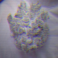 SNIPPET flexing.lilloudpack