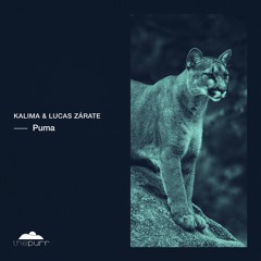 Kalima, Lucas Zárate - Puma (Original Mix)
