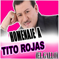 TITO ROJAS MIX - HOMENAJE 1955 -2020 - DJ PERVERSO