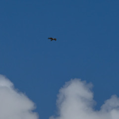 House & UKG mix vol. 1