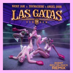 Nicky Jam, Yovng Chimi & Angel Dior - Las Gatas (2DEEP & Ricky Blanco Remix)
